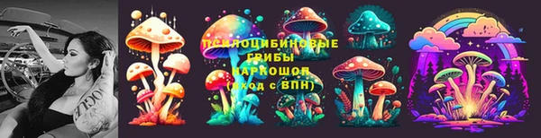 индика Балахна