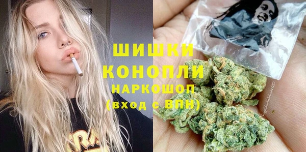 индика Балахна