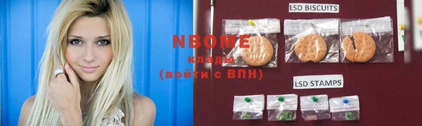 индика Балахна