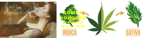 индика Балахна