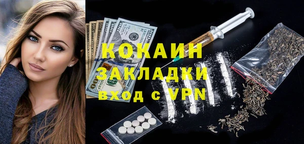 индика Балахна