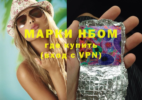 индика Балахна