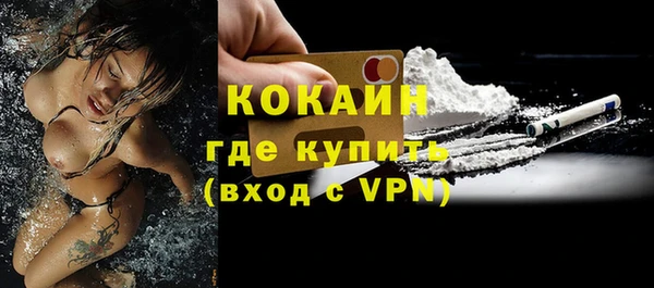индика Балахна